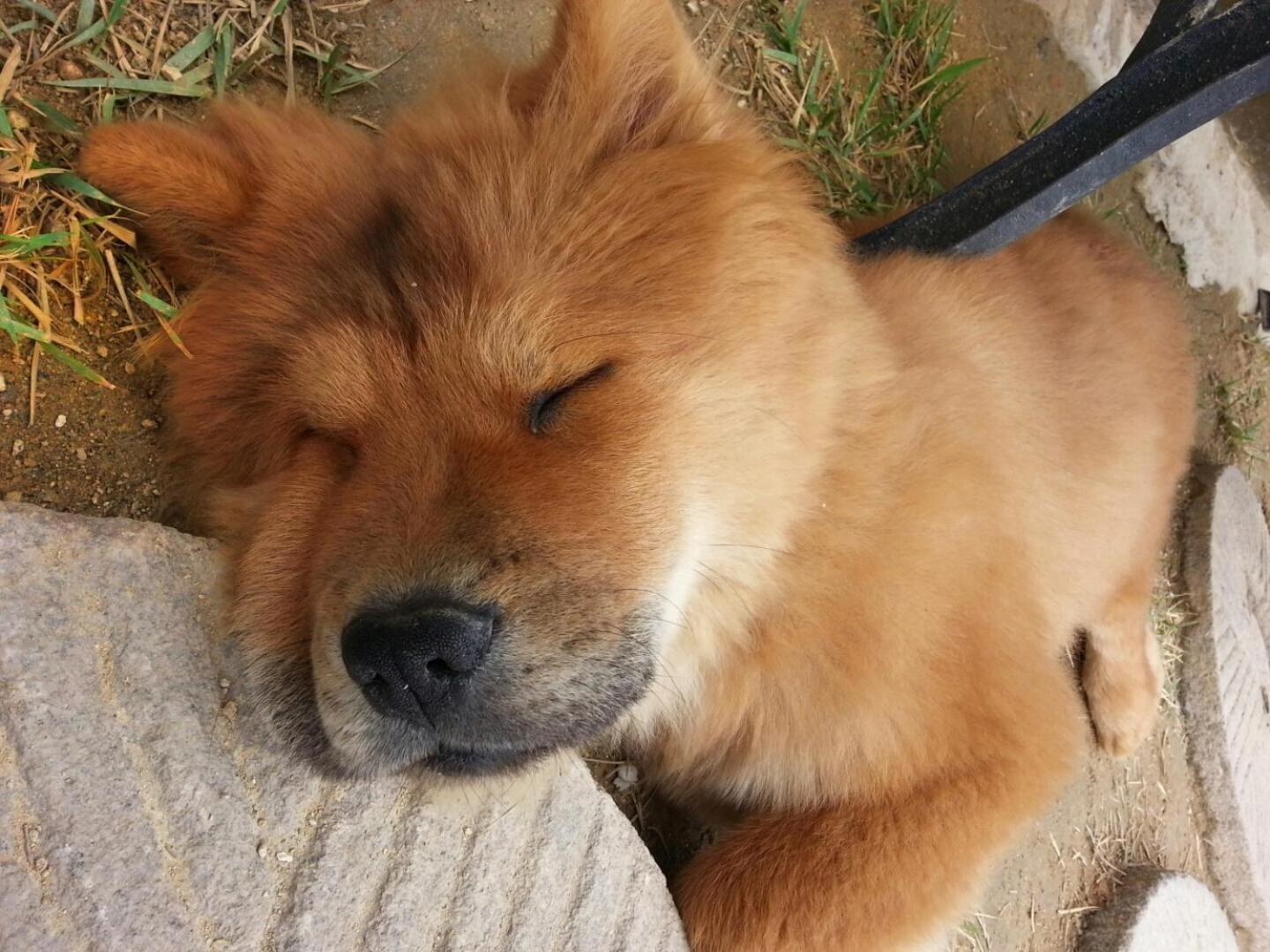 ドウォン ゲストハウス 全州市 エクステリア 写真